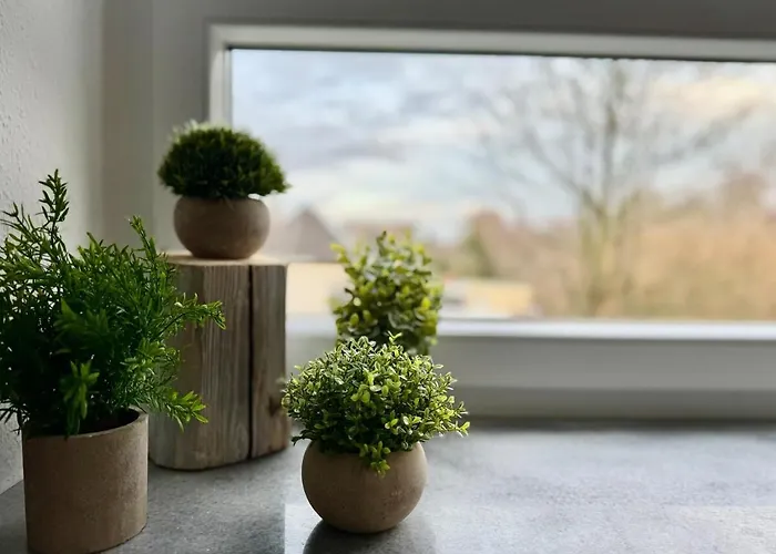 Citynah 2-raum Apartment, 50mbit, Vollausgesttatet